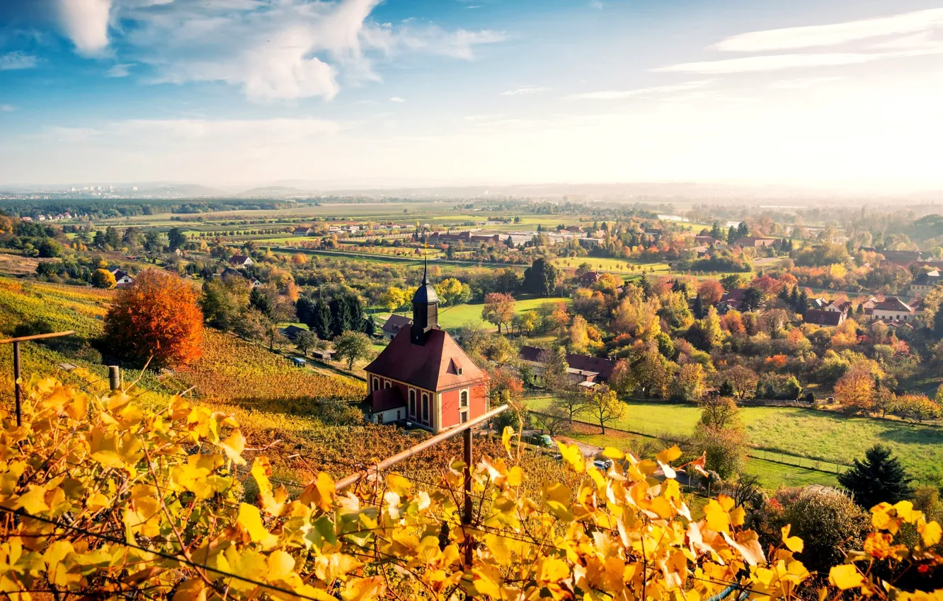 Photo wallpaper autumn, the sky, leaves, clouds, trees, landscape, nature, the city