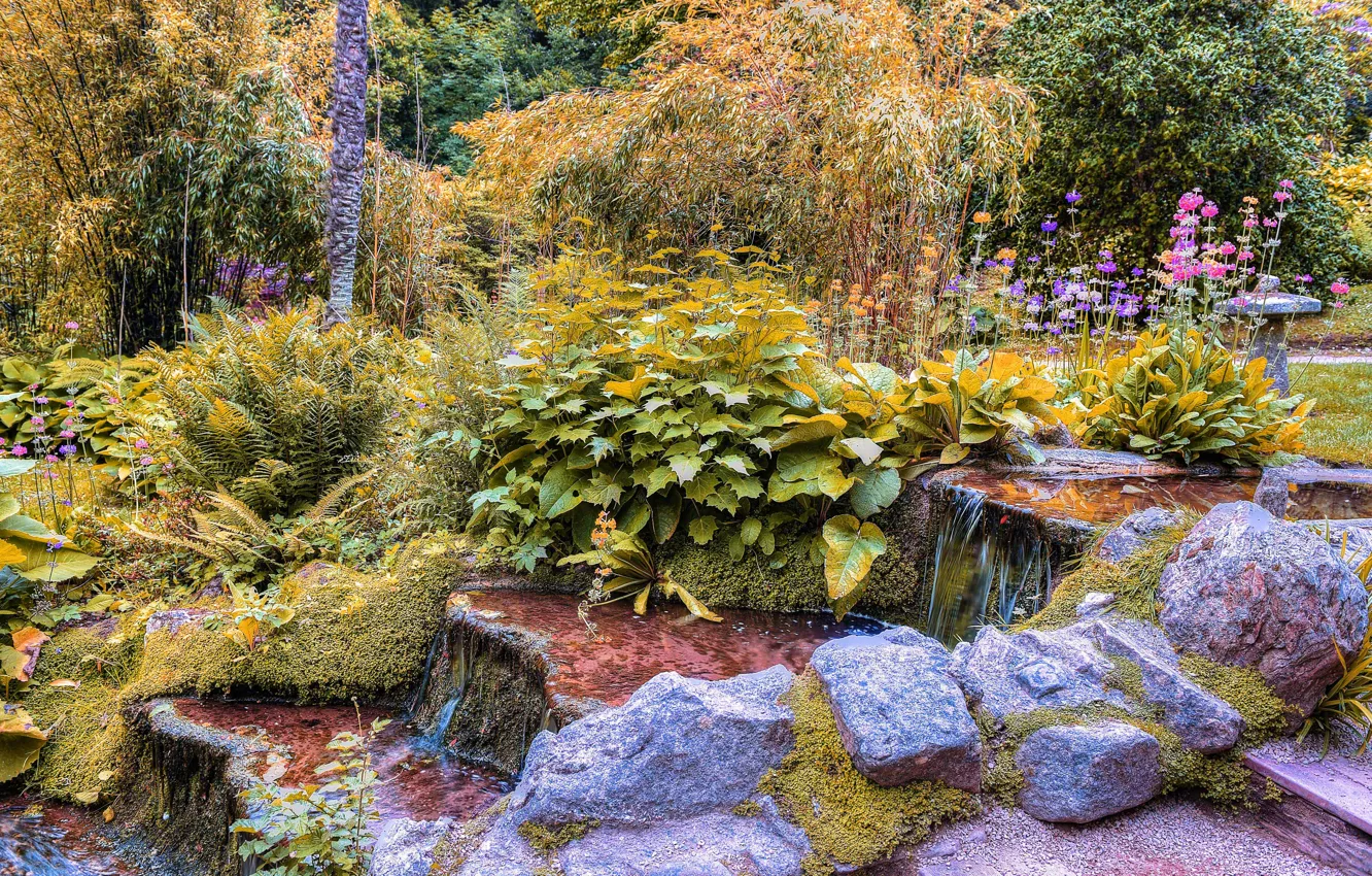 Photo wallpaper water, trees, flowers, Park, stream, stones, plants, cascade