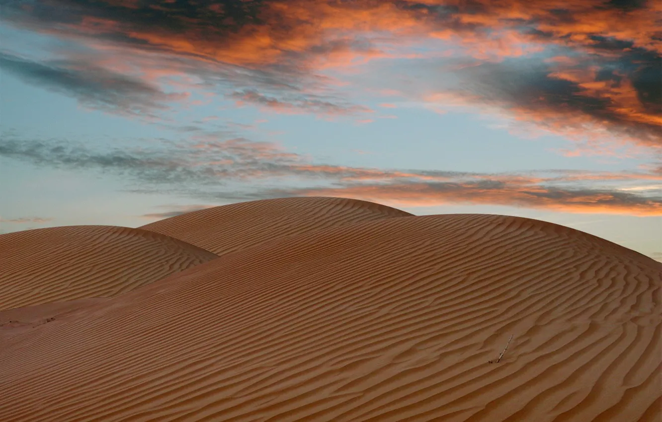 Photo wallpaper the sky, desert, heat