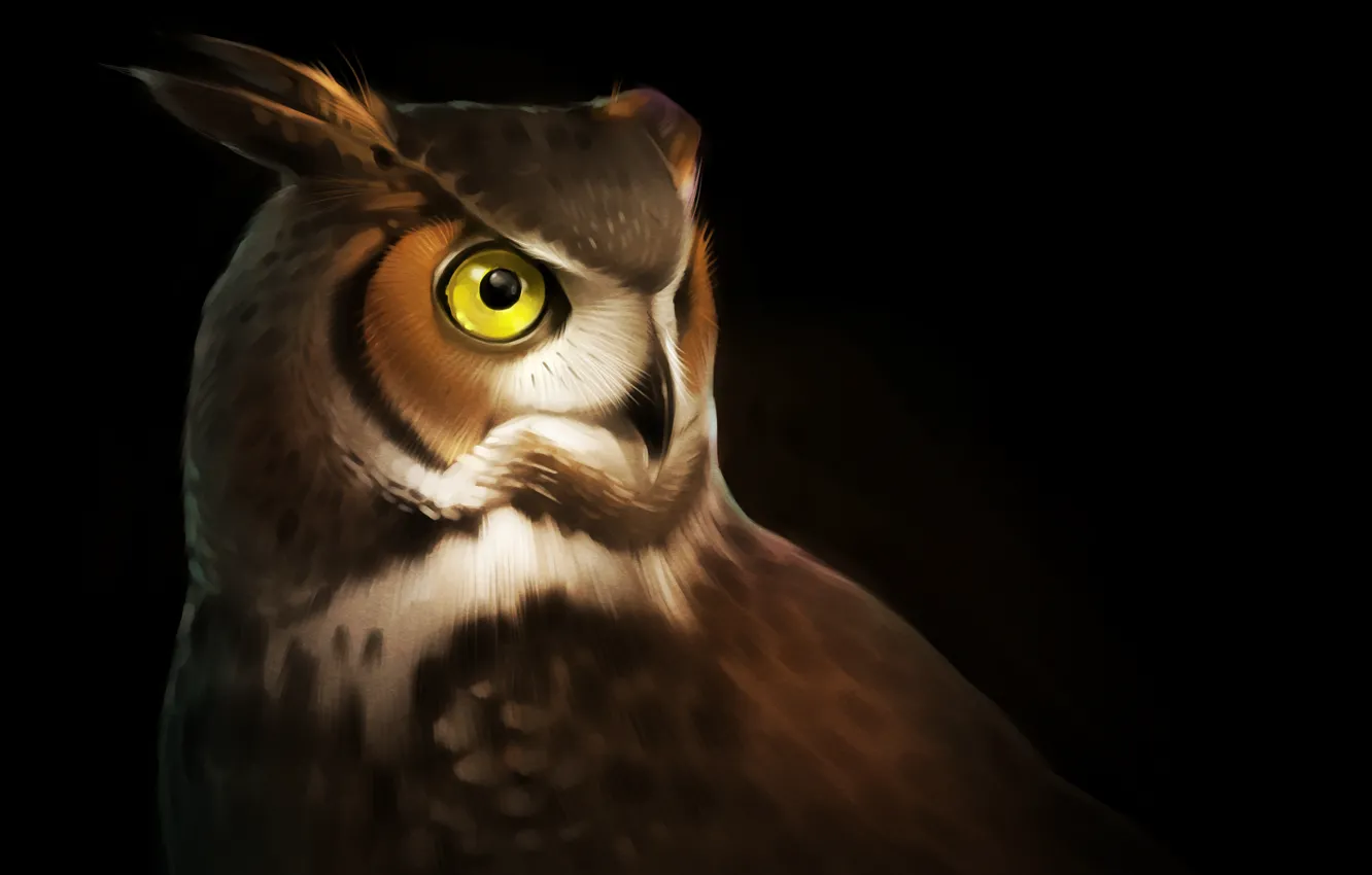 Photo wallpaper eyes, owl, bird, feathers, art