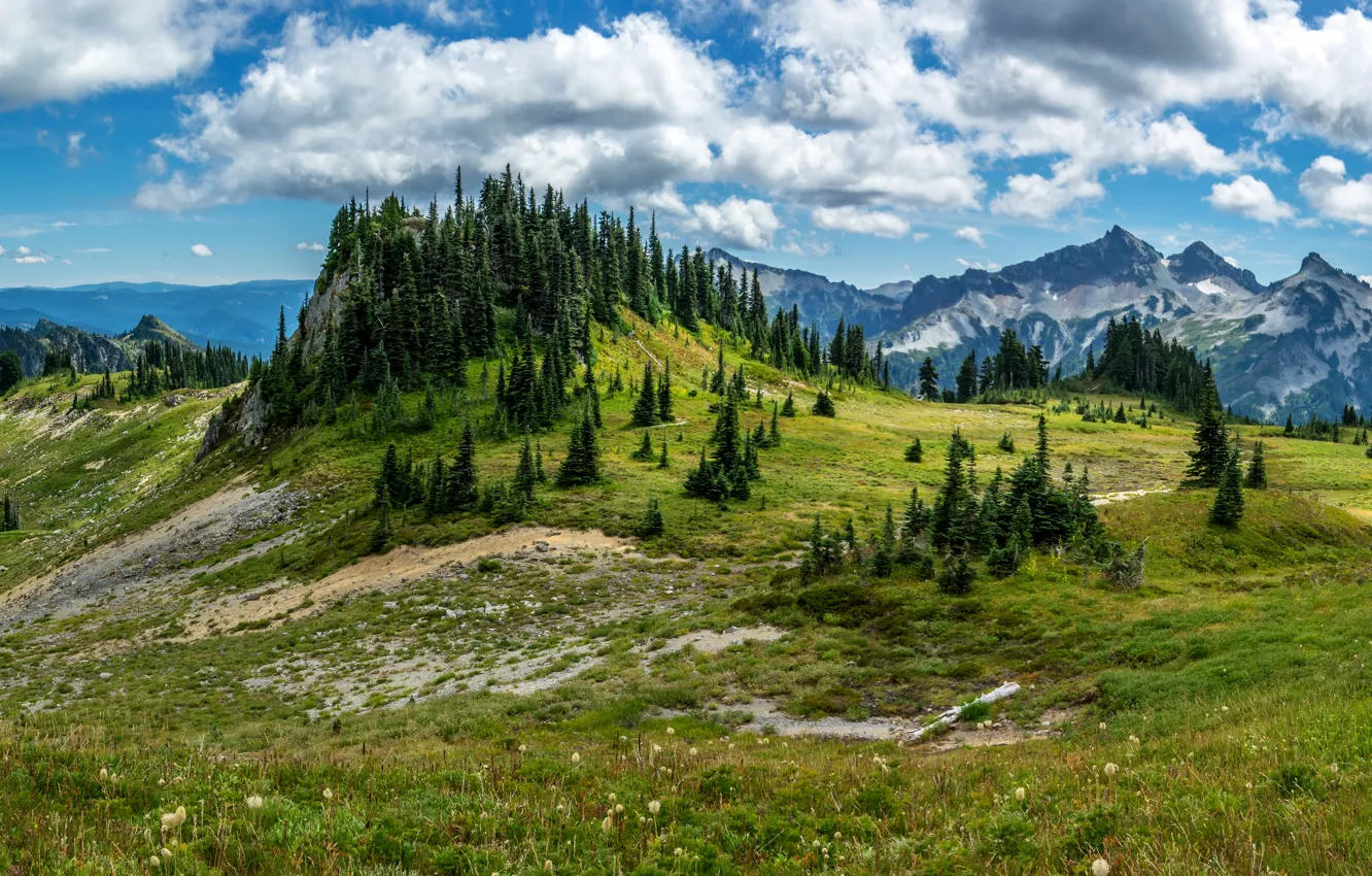 Photo wallpaper grass, clouds, landscape, mountains, nature, spruce, USA