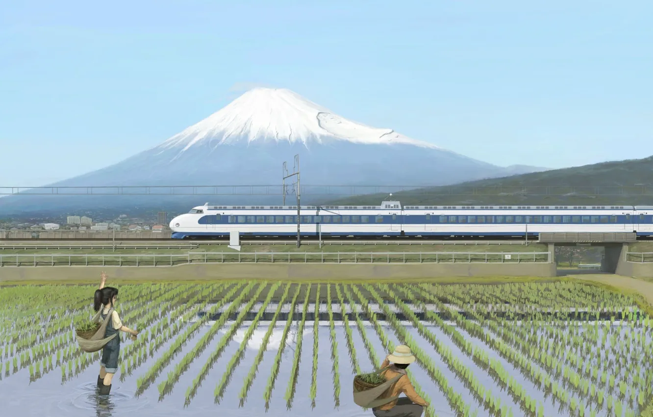 Photo wallpaper train, Fuji, rice field, Train