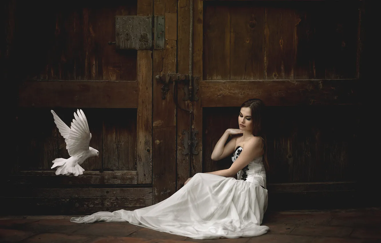 Photo wallpaper pose, model, portrait, gate, makeup, dress, hairstyle, pigeons