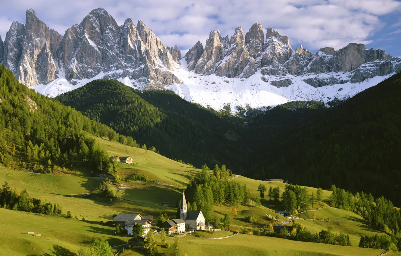 Photo wallpaper forest, mountains, home