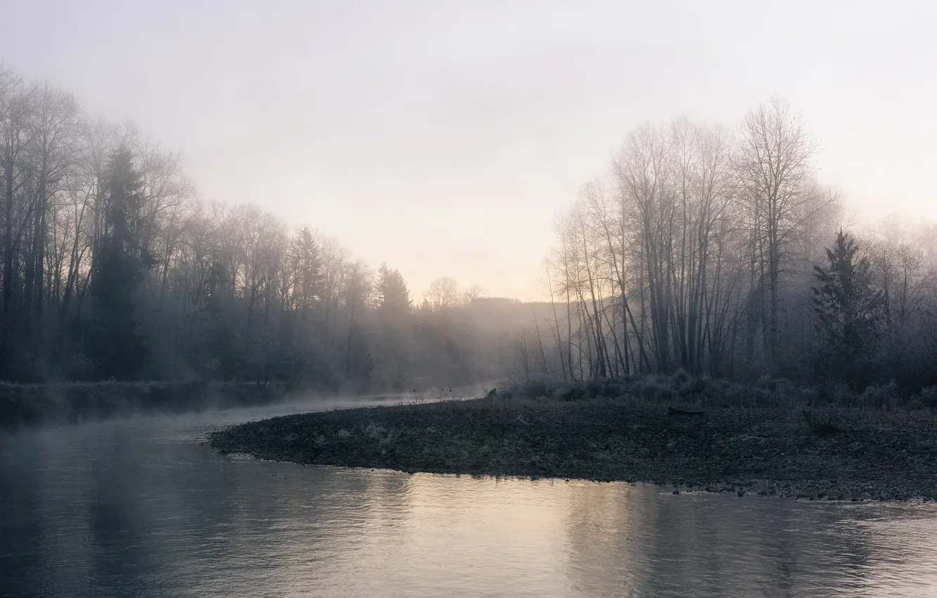 Photo wallpaper fog, river, morning