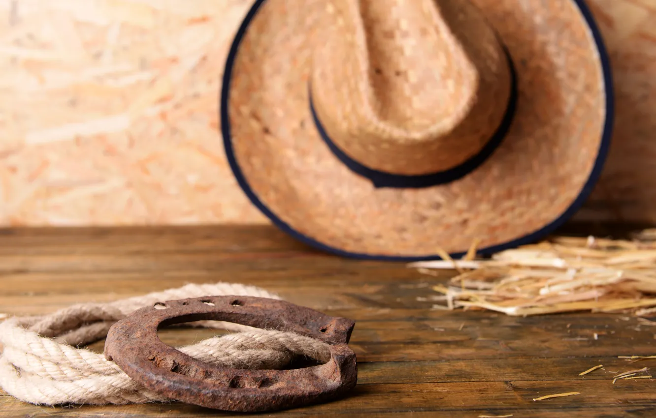 Photo wallpaper hat, leather, Horseshoe