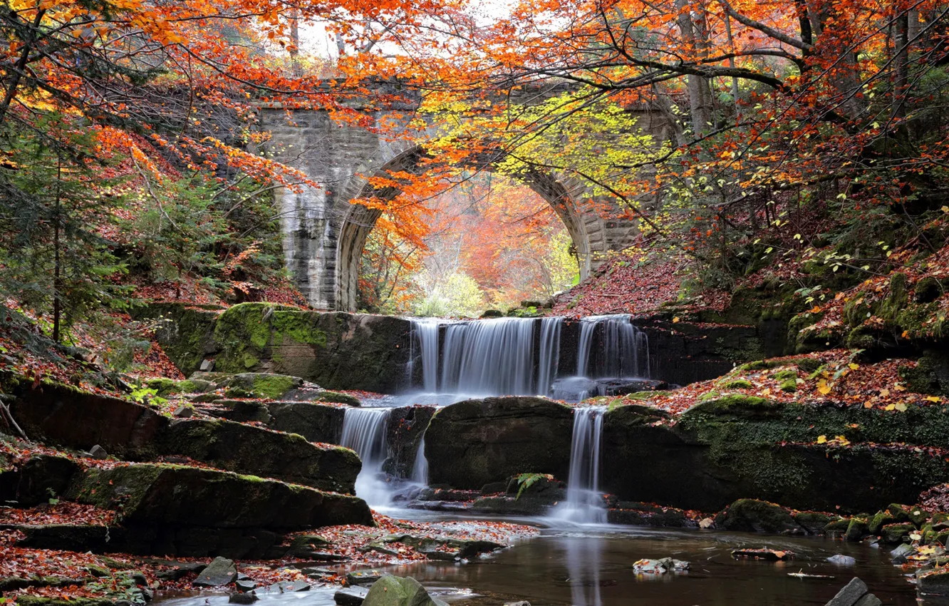 Photo wallpaper autumn, water, trees, bridge, river, stones, cascade