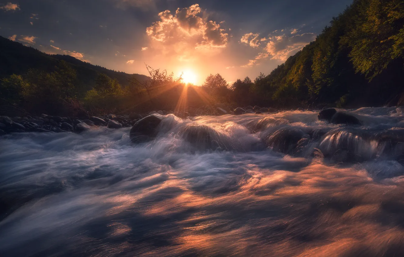 Photo wallpaper forest, the sun, clouds, rays, light, sunset, river, stones