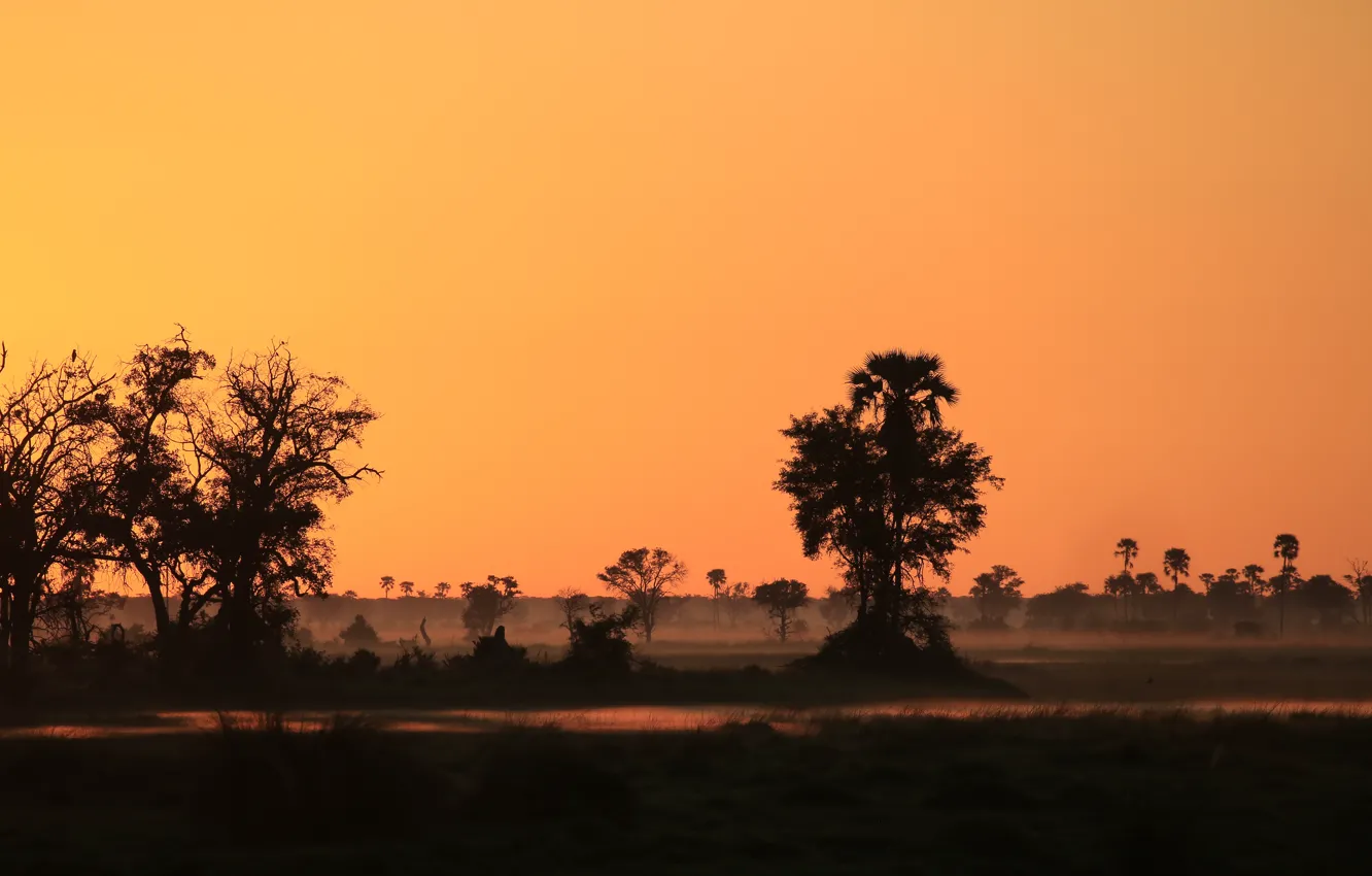 Photo wallpaper river, fog, sunrise, silhouettes