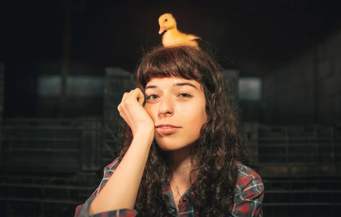 Photo wallpaper duck, Anastasia, Andrey Vasilyev