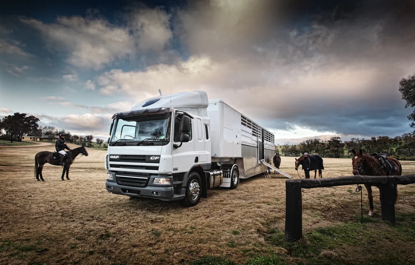 Photo wallpaper white, horse, farm, truck, DAF, jockey, greiler