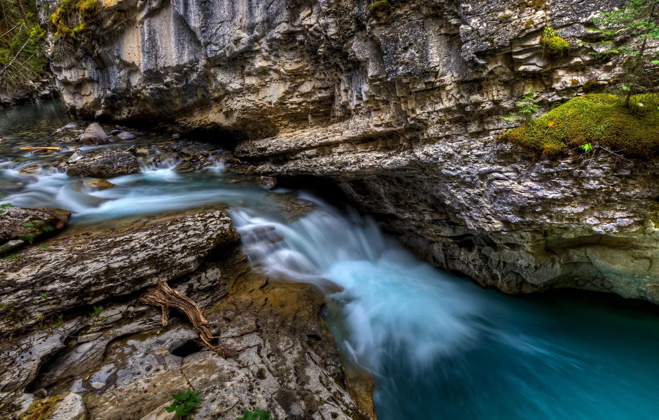 Photo wallpaper forest, nature, river, stones, rocks, the flow of water