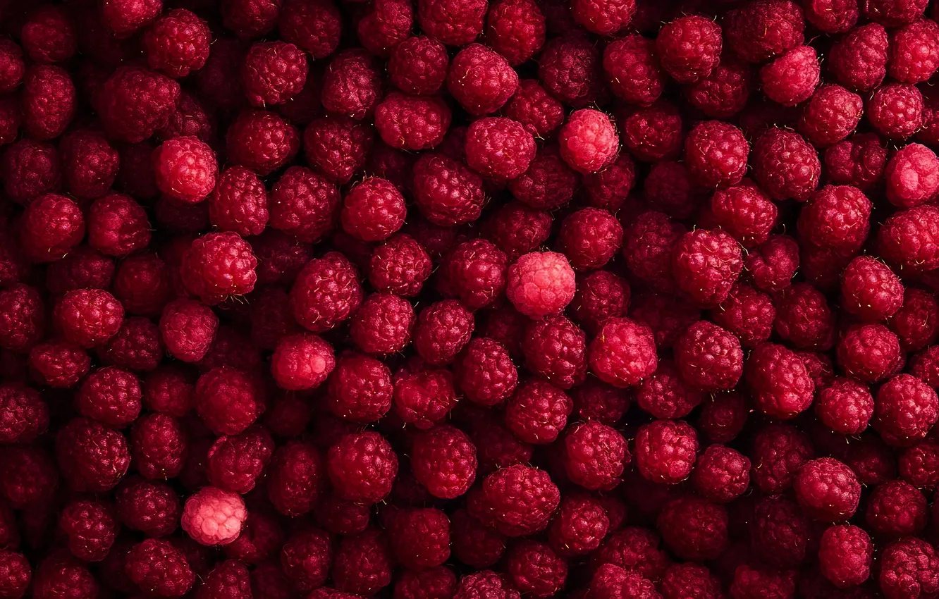 Photo wallpaper berries, raspberry, harvest, a lot, AI art, neural network
