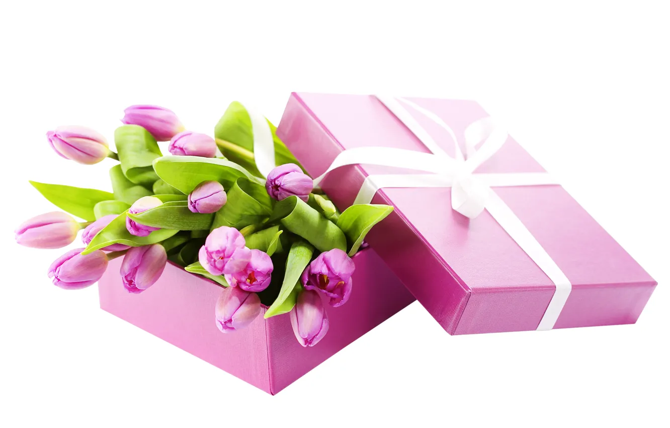 Photo wallpaper box, bouquet, tape, tulips