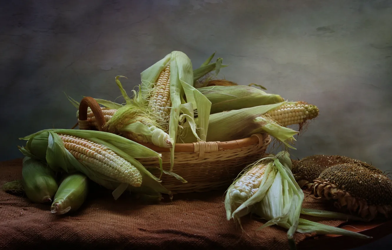 Photo wallpaper summer, corn, still life