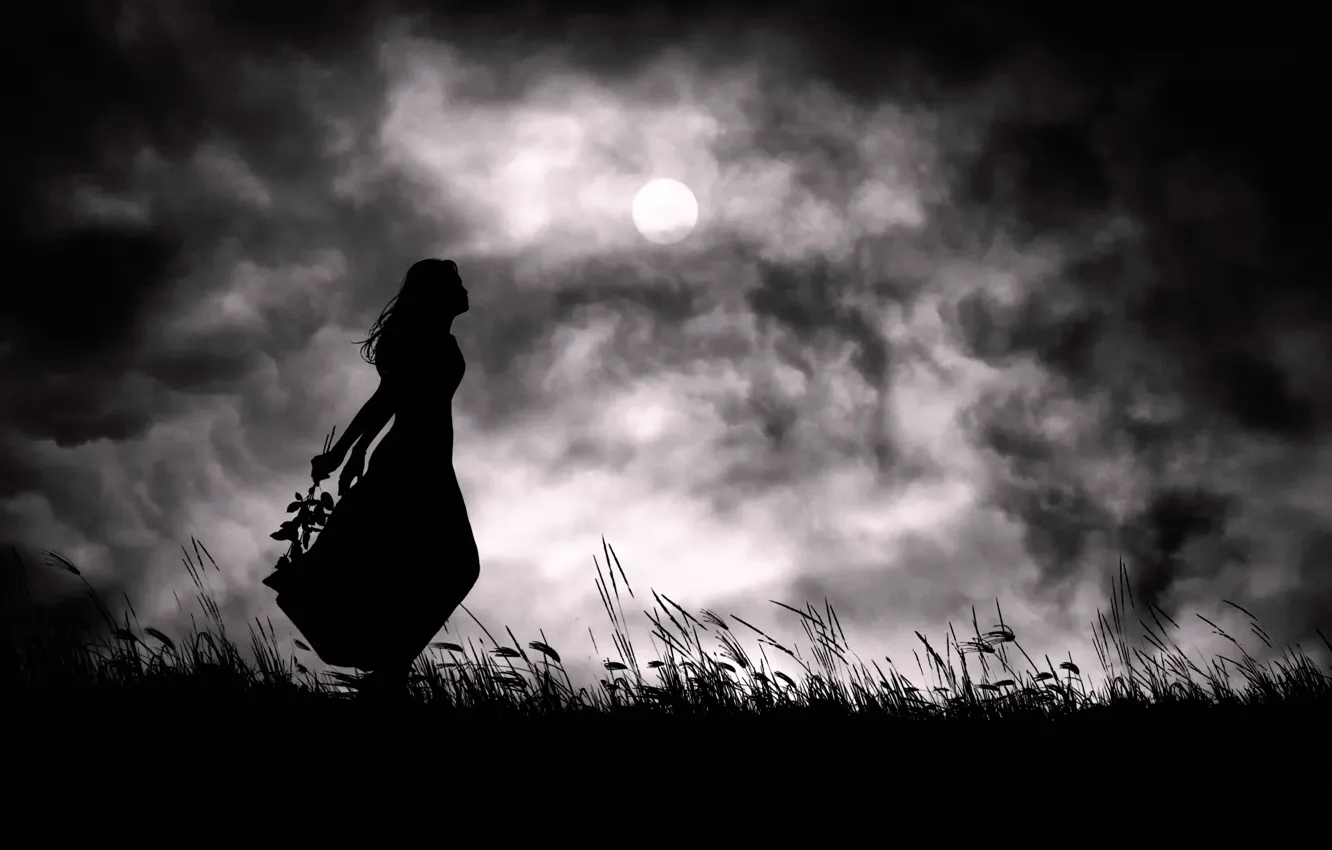 Photo wallpaper girl, night, the moon, silhouette, my loneliness
