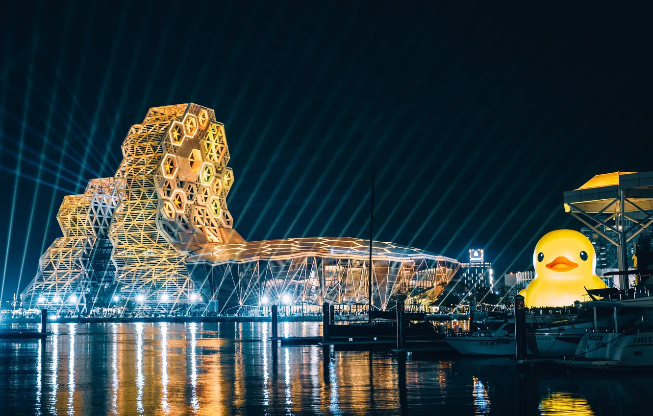Photo wallpaper water, night, lights, duck, structure, rays of light