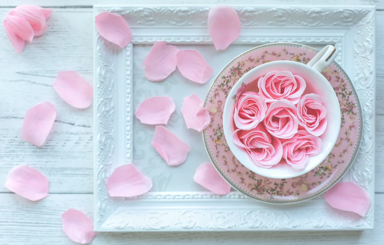 Photo wallpaper rose, frame, petals
