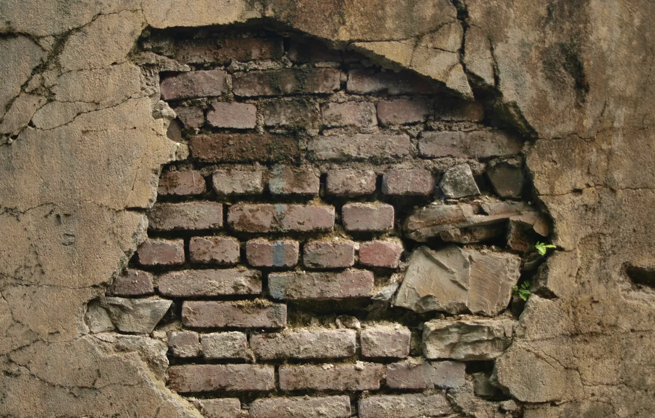 Photo wallpaper wall, pattern, brick, pattern of brick wall