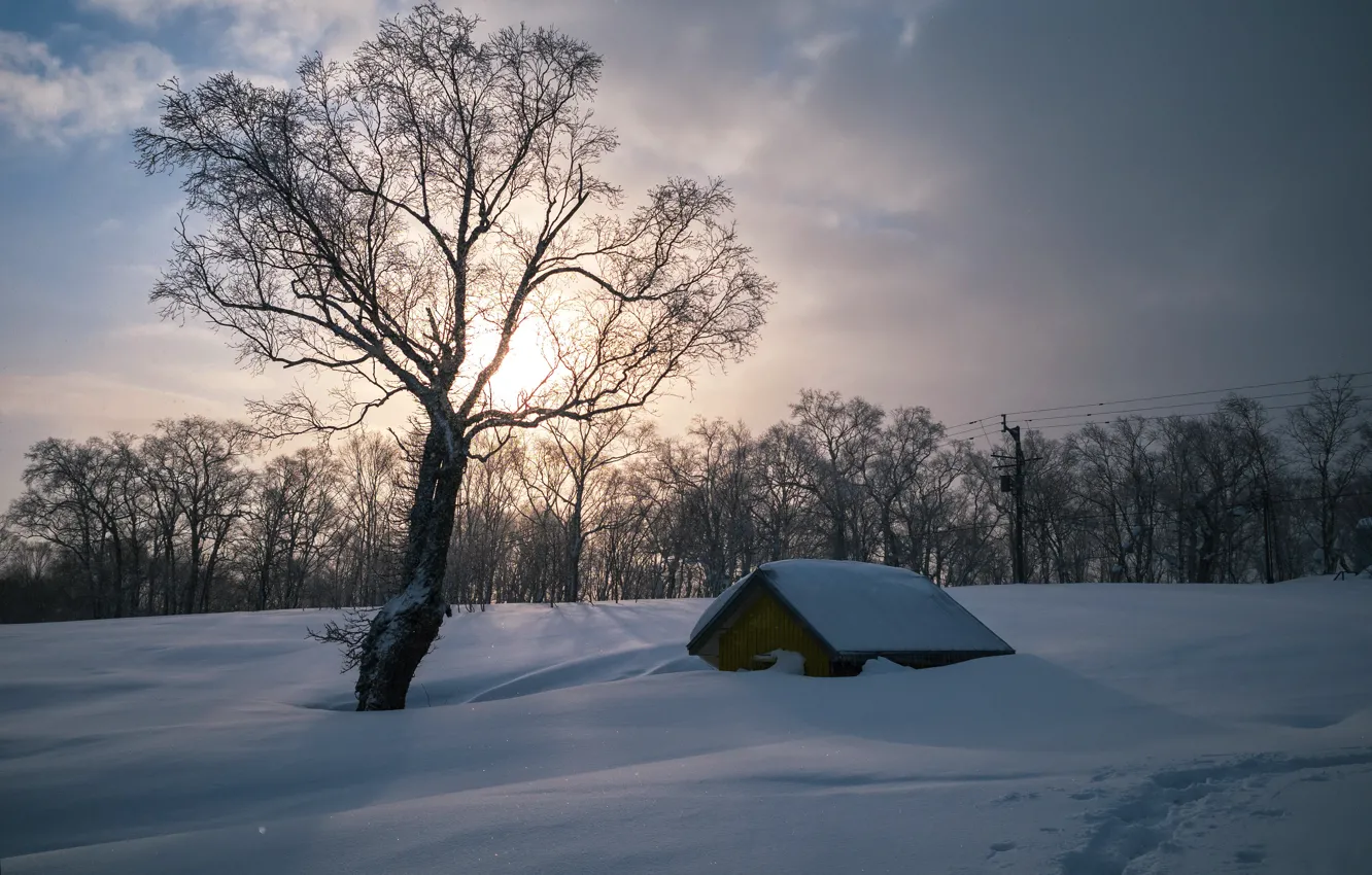Photo wallpaper winter, snow, morning