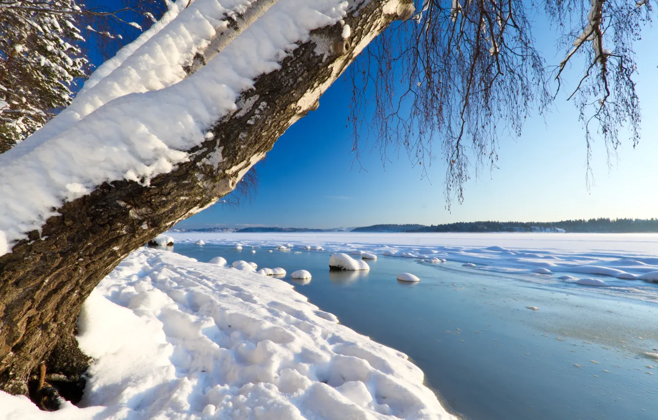 Photo wallpaper ice, winter, the sky, water, snow, river, tree, horizon
