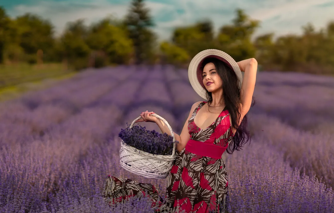 Photo wallpaper field, look, girl, flowers, pose, basket, lavender, Andrea Carretta