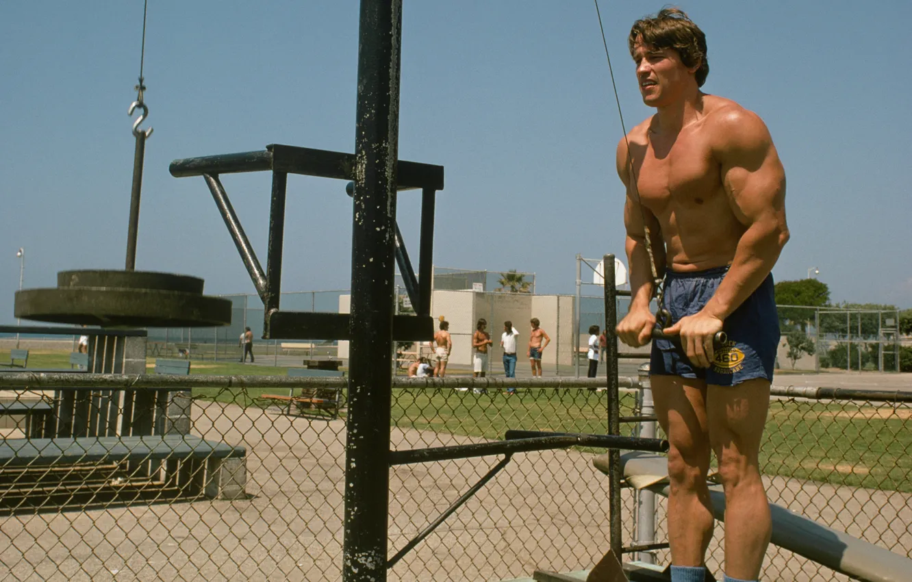 Photo wallpaper athlete, Actor, bodybuilder, Arnold Schwarzenegger, Producer, Director, Arnold Schwarzenegger