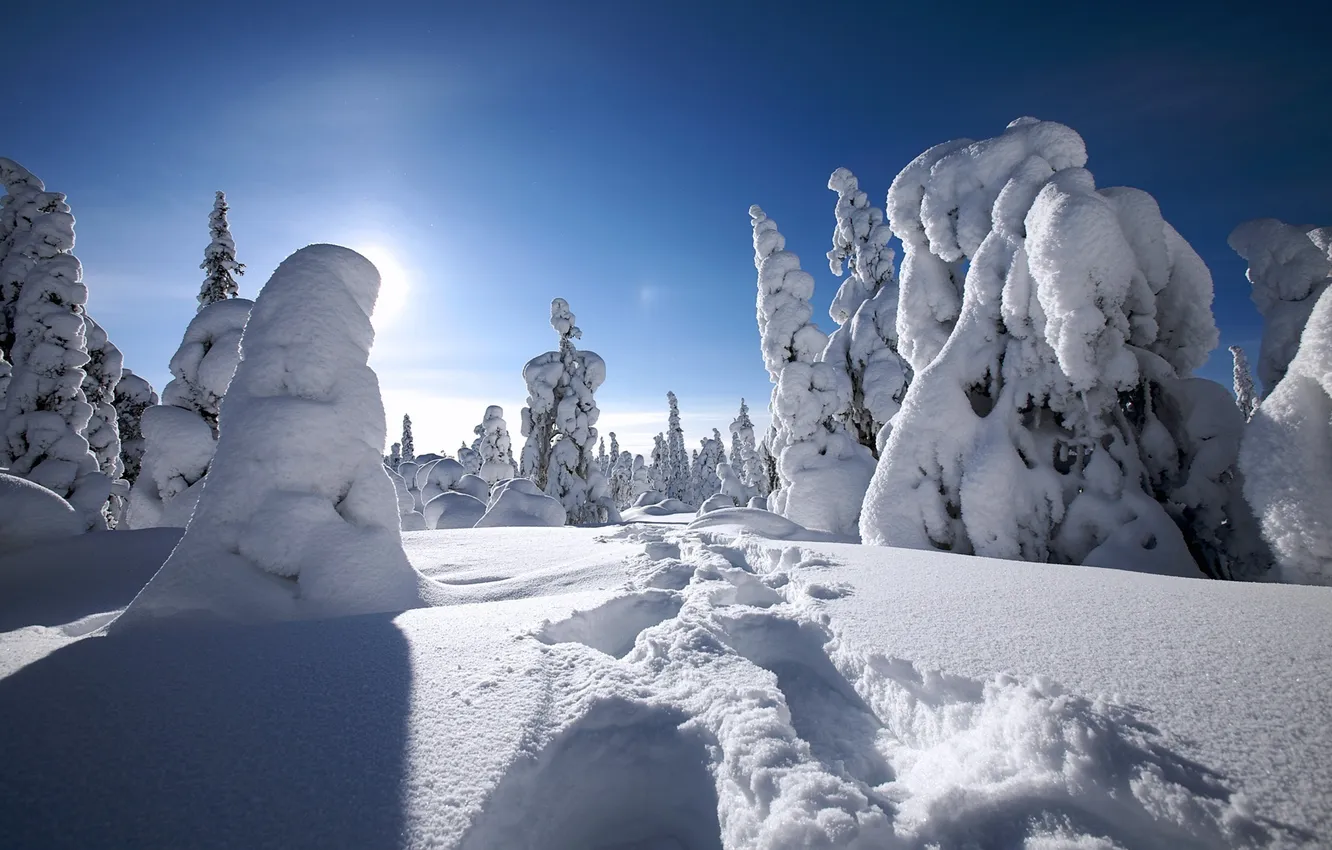 Photo wallpaper winter, snow, winter, Finland, finland