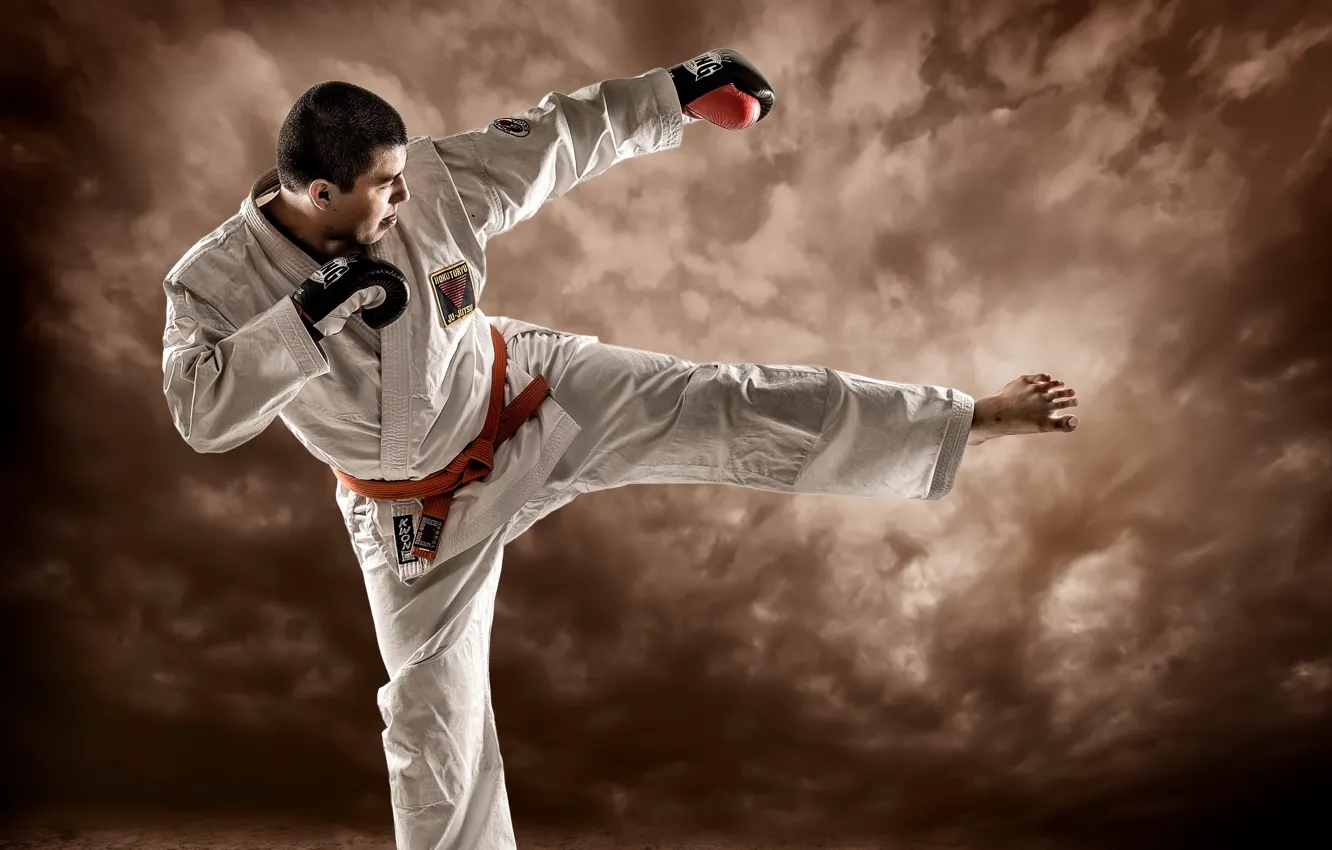 Photo wallpaper action, Fighter, composition