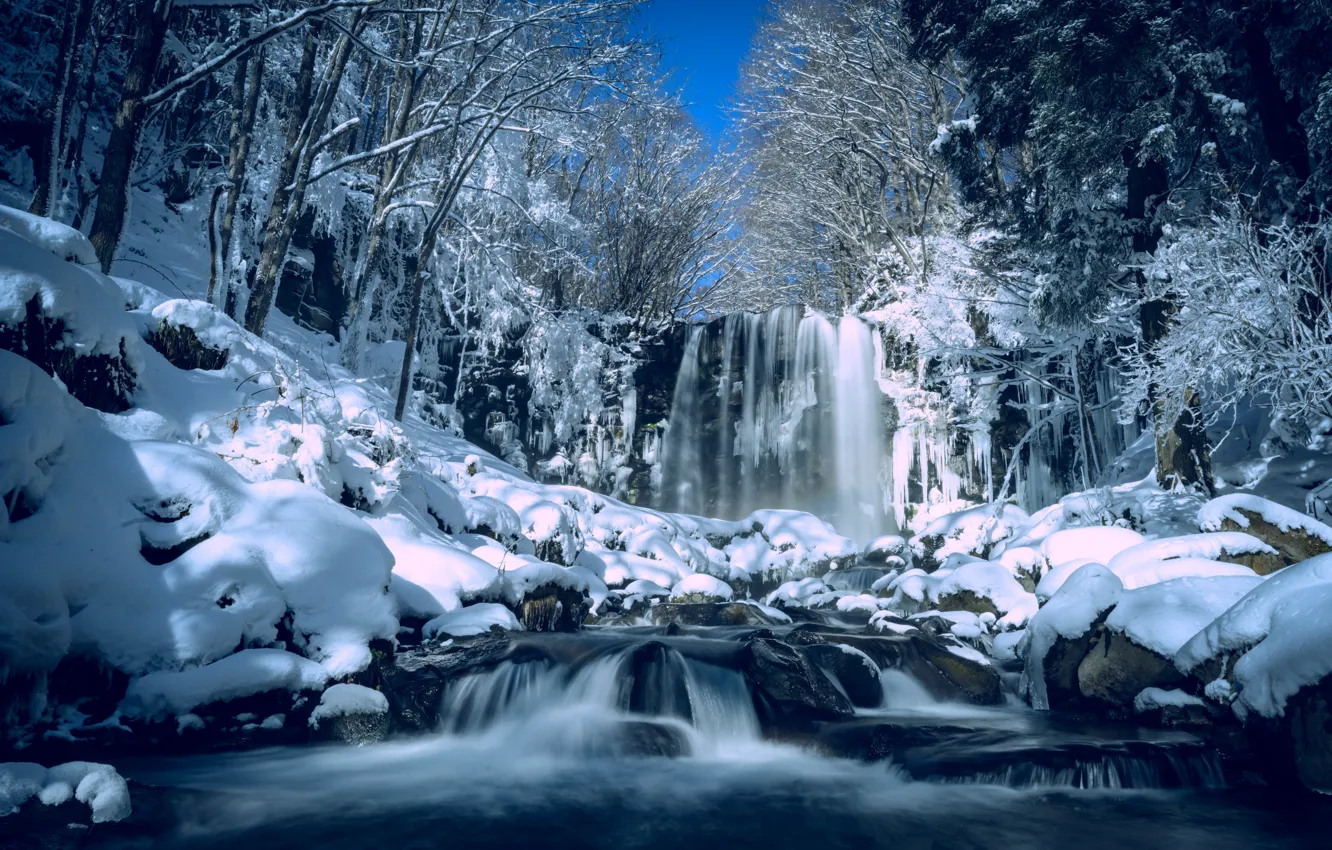 Photo wallpaper winter, forest, snow, trees, river, waterfall, Japan, Japan