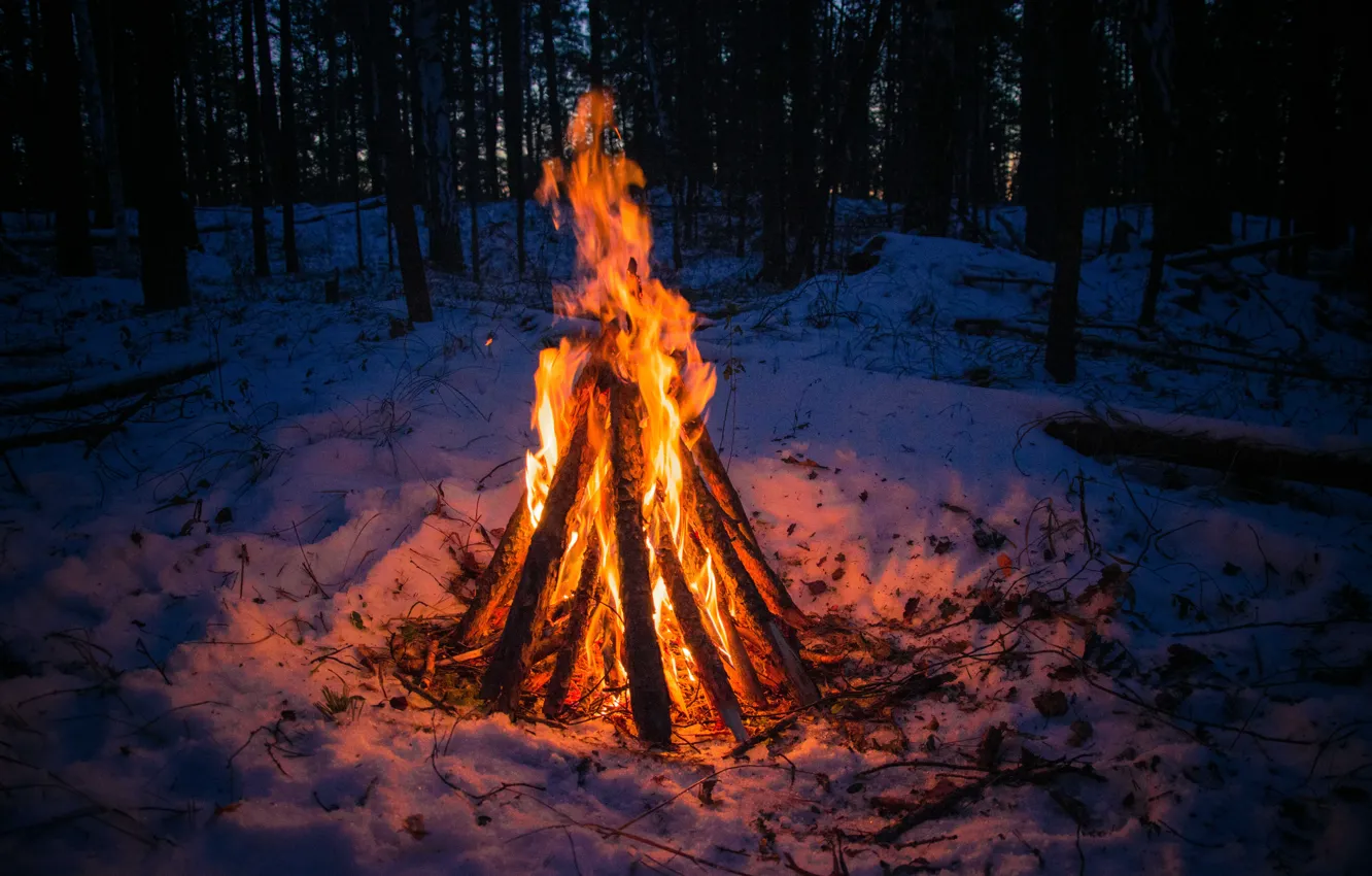 Photo wallpaper winter, forest, snow, loneliness, heat, the fire, Ural, the fire