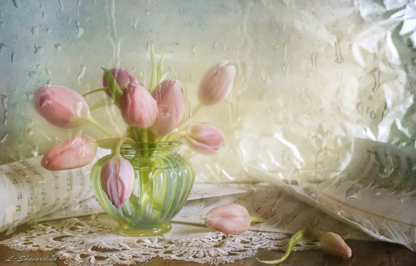 Photo wallpaper drops, notes, tulips, buds