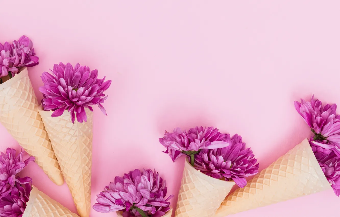 Photo wallpaper flowers, petals, pink, flowers