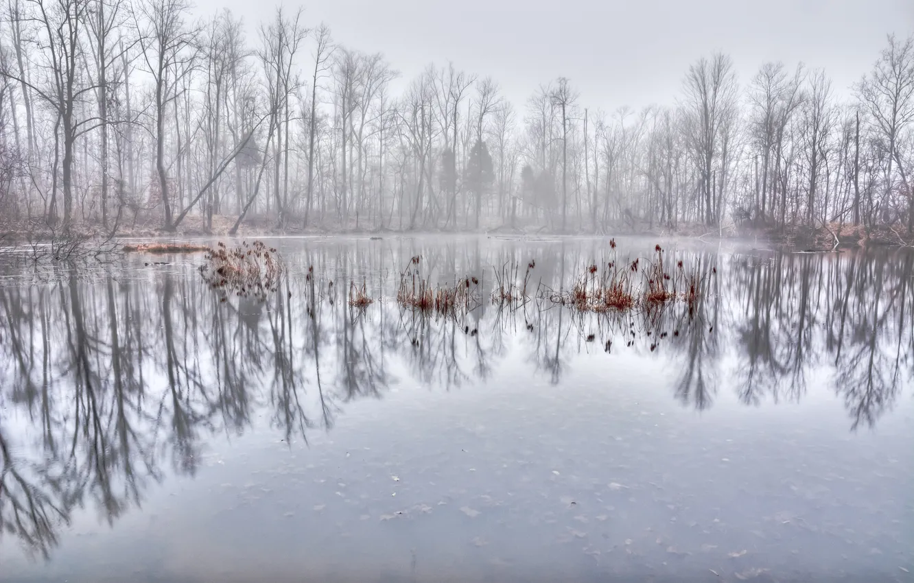Photo wallpaper autumn, nature, lake