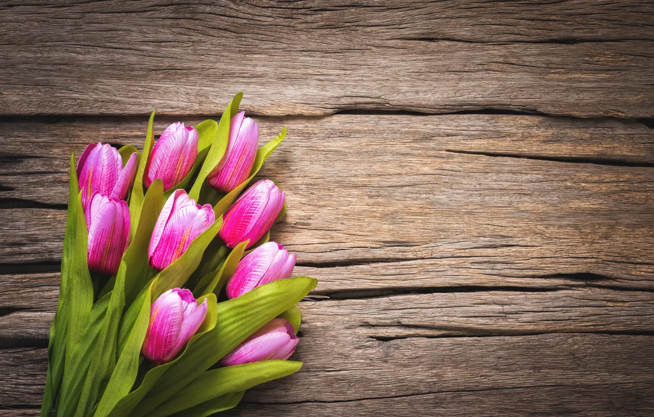 Photo wallpaper flowers, tulips, pink, wood, pink, flowers, beautiful, tulips