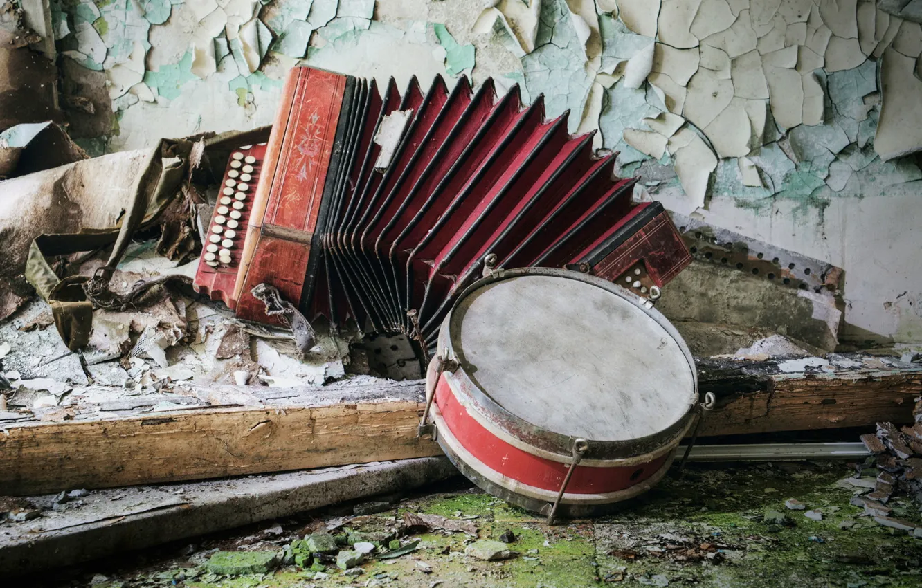 Photo wallpaper music, accordion, tambourine