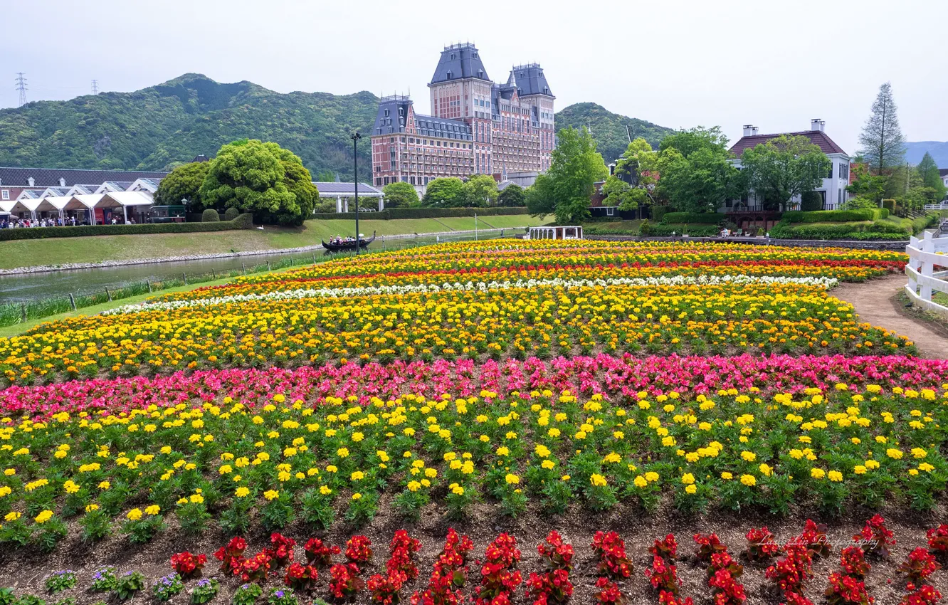 Photo wallpaper flowers, Park, Japan, Japan, Sasebo, Huis Ten Bosch Park, Hayes Park Huis ten Bosch, Sasebo