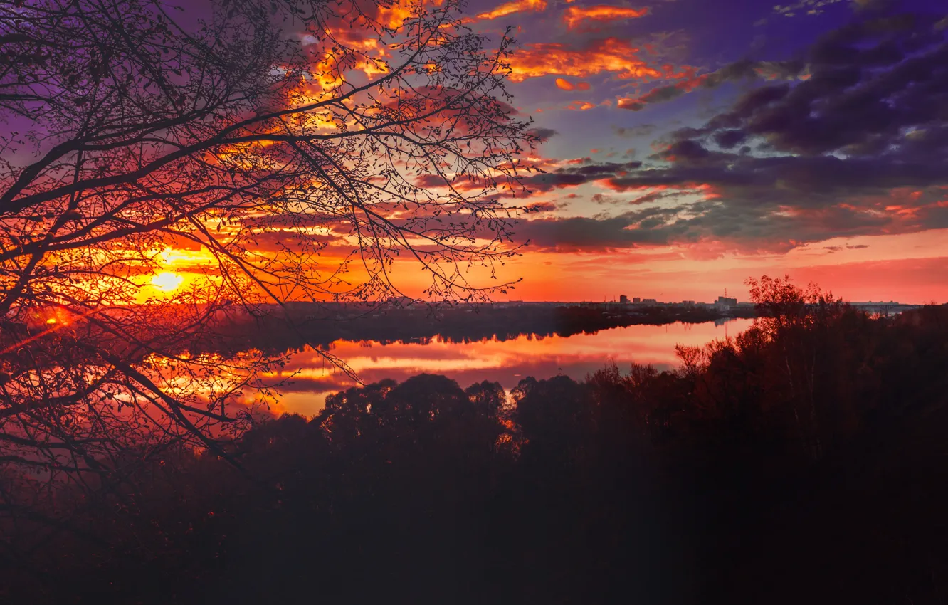 Photo wallpaper water, the sun, trees, landscape, sunset, branches, the city, river