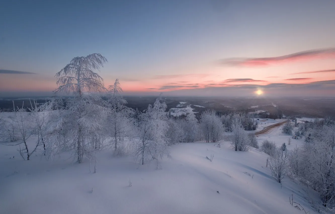 Photo wallpaper winter, snow, trees, dawn, morning, the snow, Russia, Perm Krai