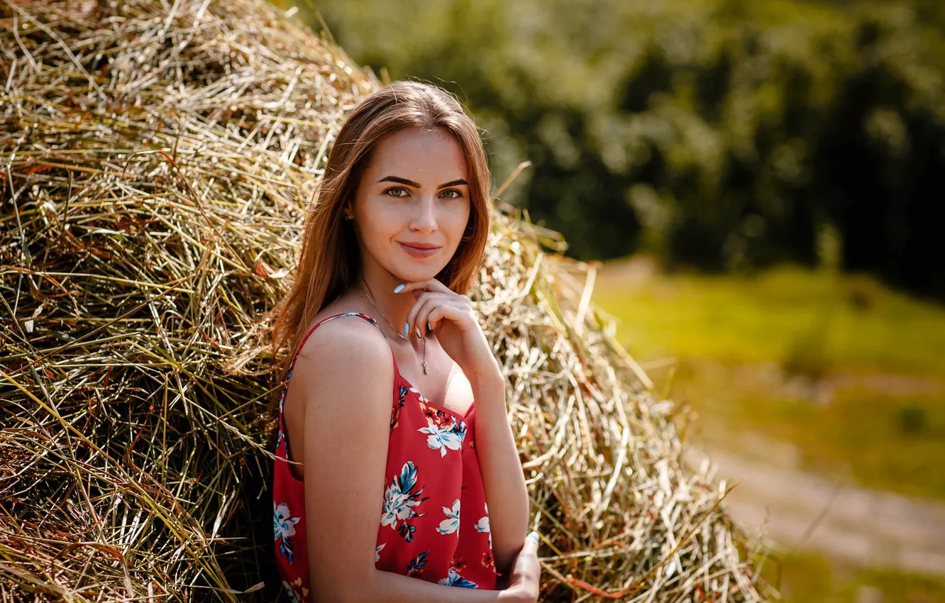 Photo wallpaper look, smile, Girl, hay, Alexey Gilev
