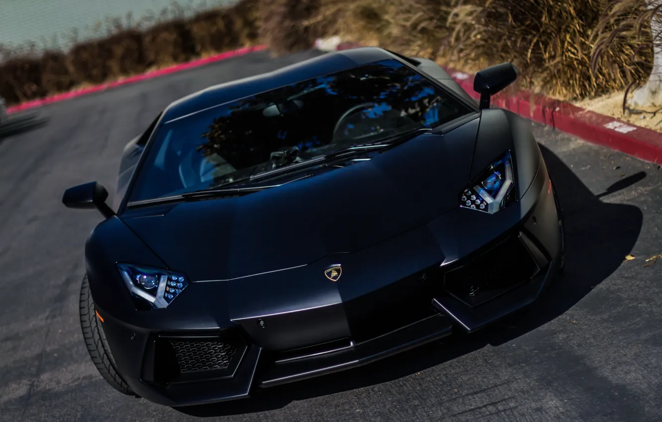 Photo wallpaper Lamborghini, black, Aventador