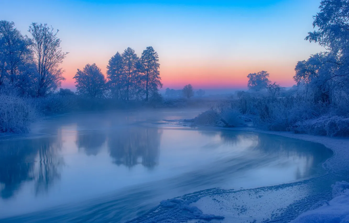 Photo wallpaper winter, snow, trees, sunset, river, Poland, reed, Poland