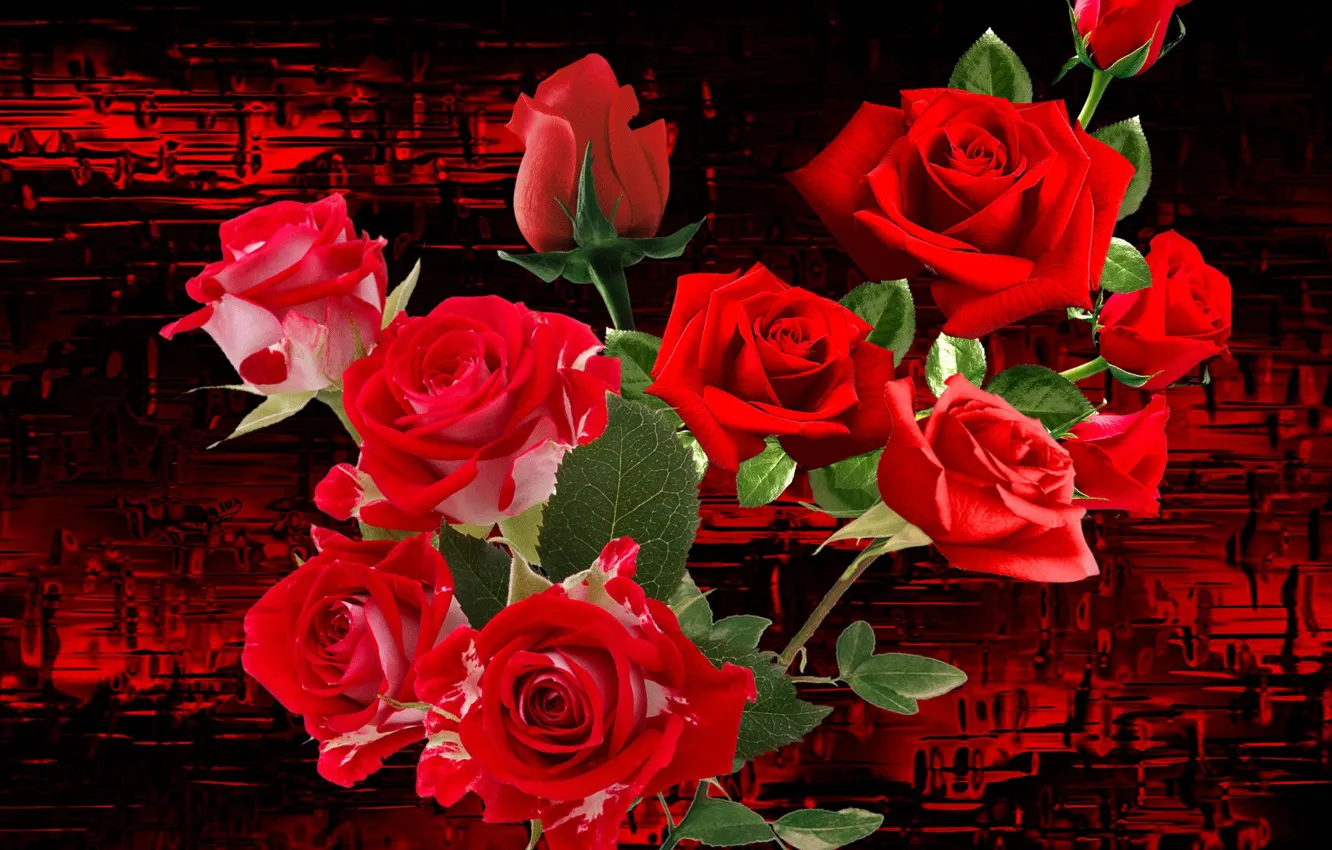 Photo wallpaper flowers, background, bouquet, cover, roses