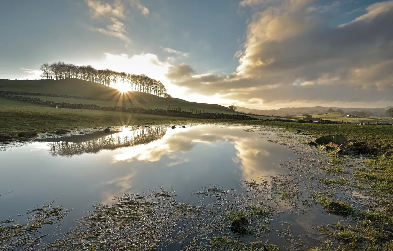 Photo wallpaper light, nature, morning