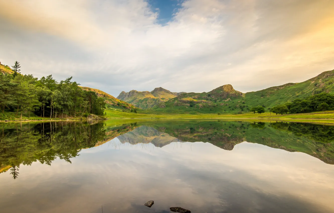 Photo wallpaper trees, landscape, mountains, lake