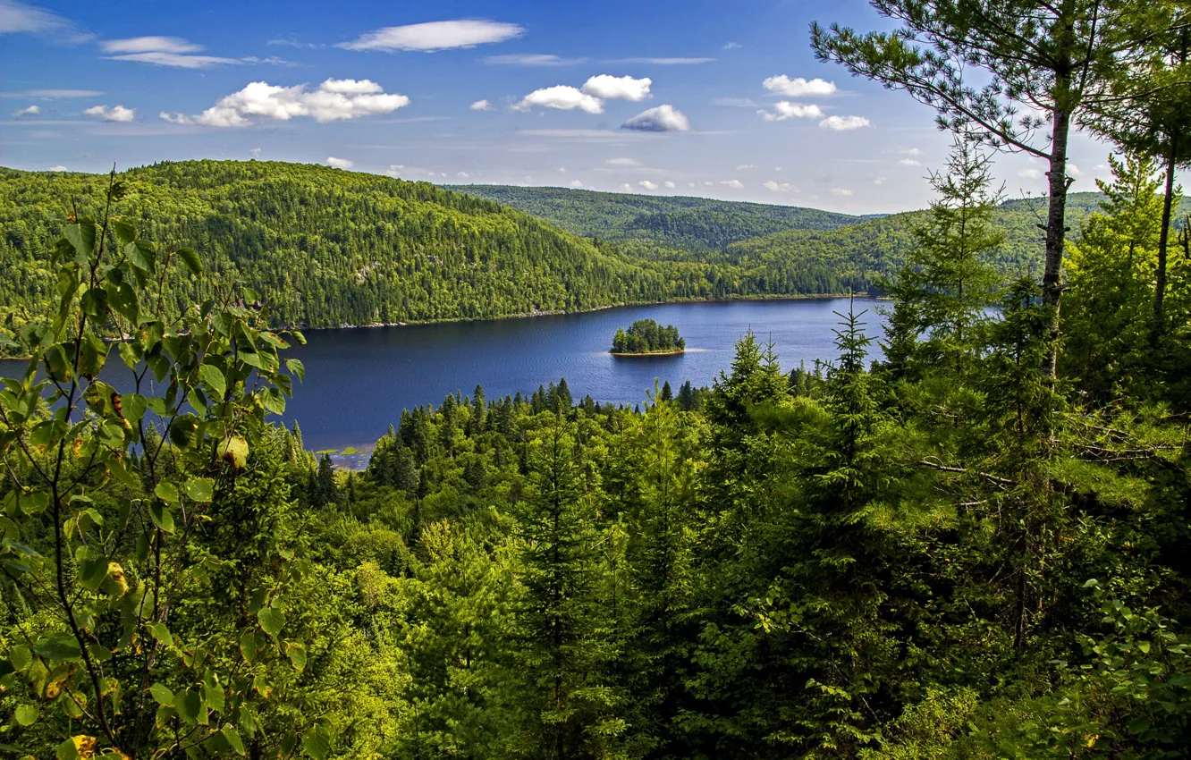 Photo wallpaper greens, forest, summer, the sky, the sun, clouds, trees, lake