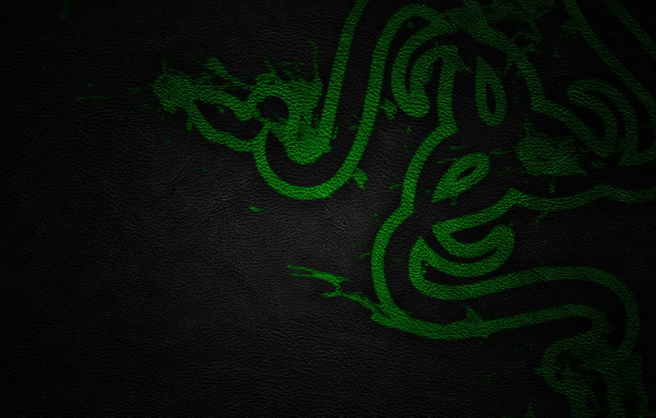 Photo wallpaper Green, Black, Logo, Razer, Wallpaper, Hi-Tech, Texture, Leather