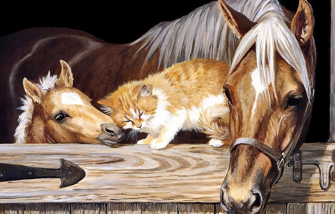 Photo wallpaper cat, cat, horse, foal