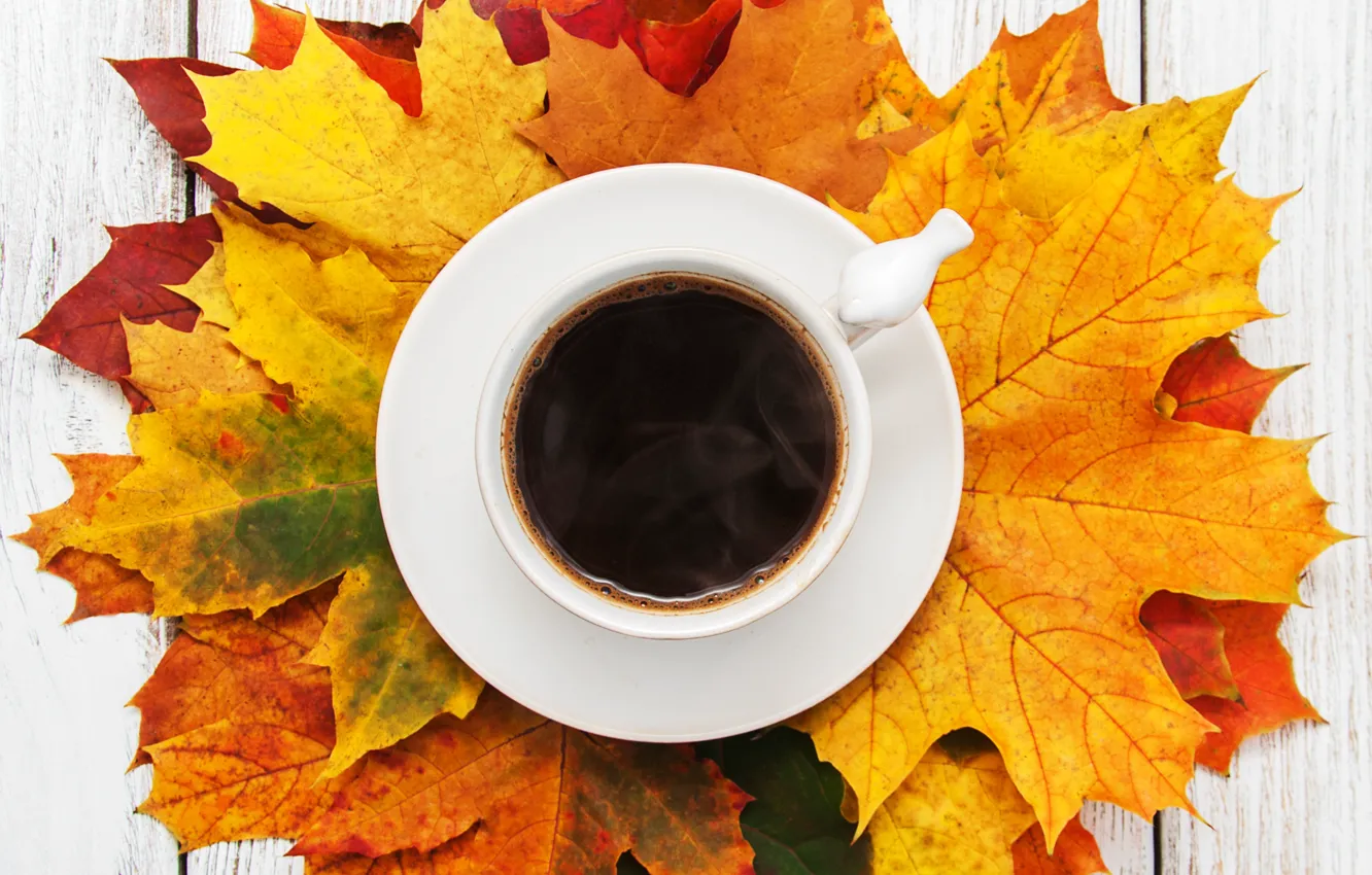 Photo wallpaper autumn, leaves, wood, autumn, leaves, coffee cup, a Cup of coffee