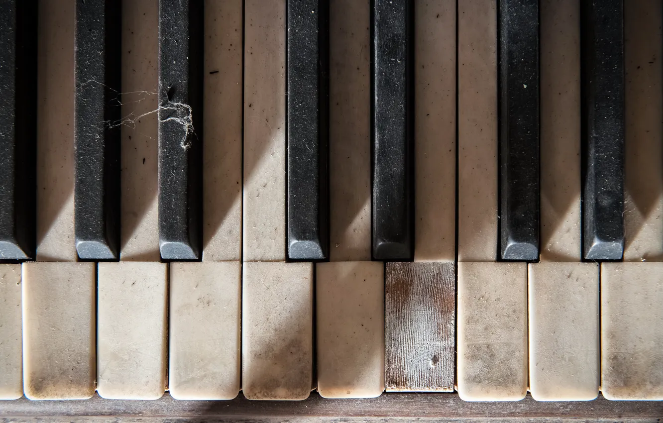 Photo wallpaper macro, music, piano